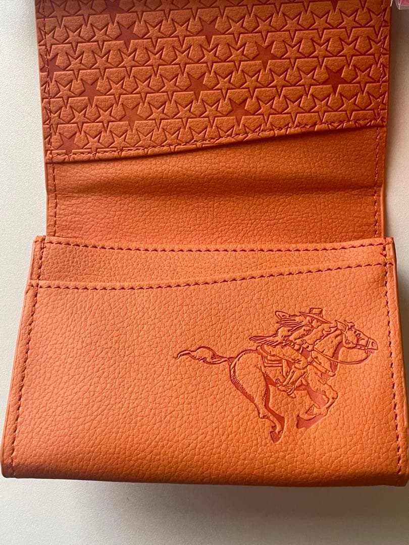 ジョジョの奇妙な冒険 Part７ スティール・ボールラン ケース　名刺入れ