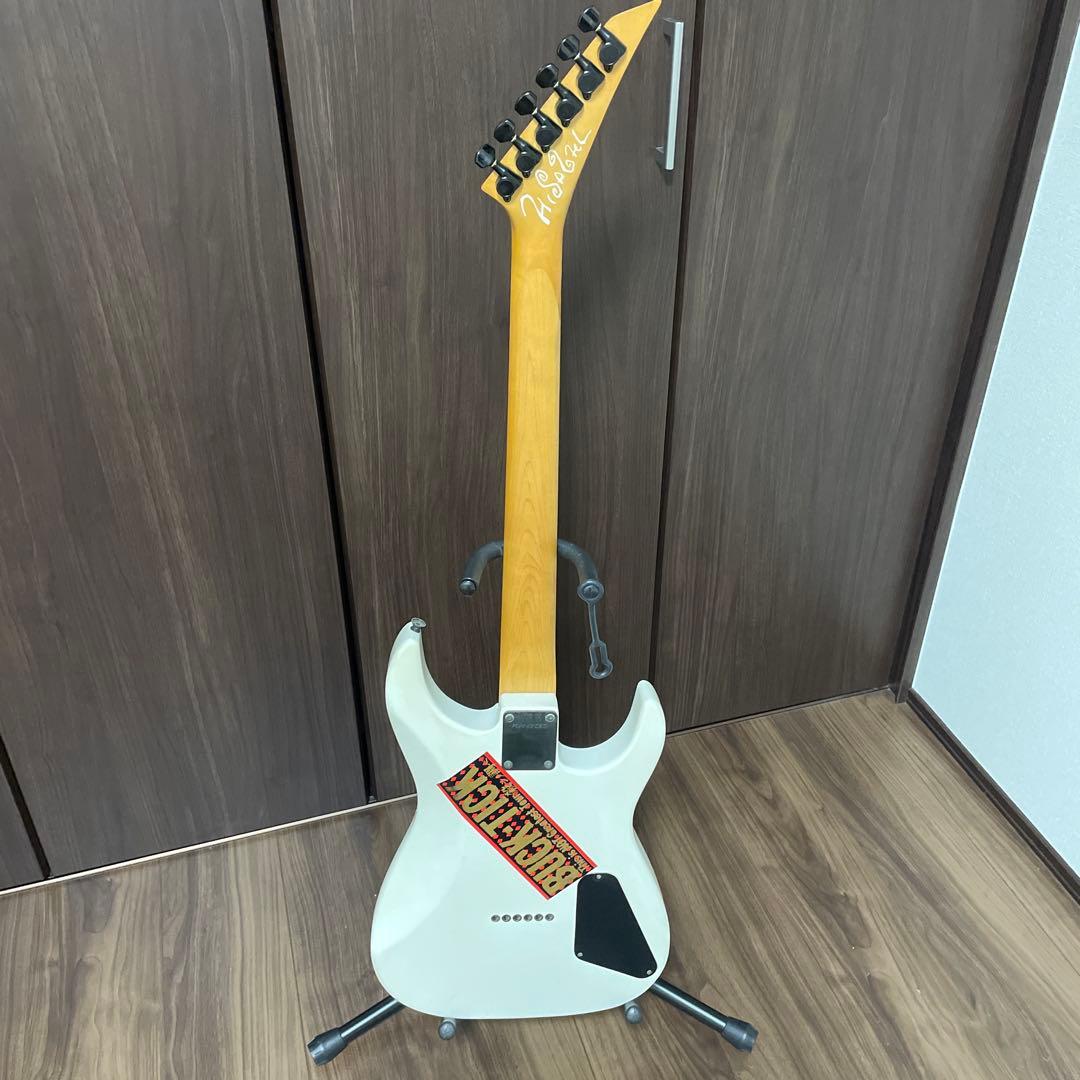 【t_katsu】BUCK-TICK 今井寿　FERNANDES