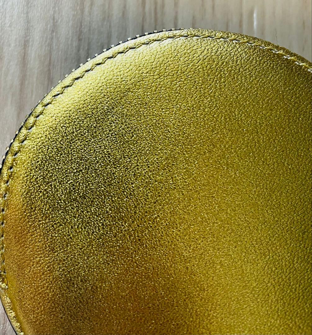 未使用/匿名配送　ロエベ　ケース