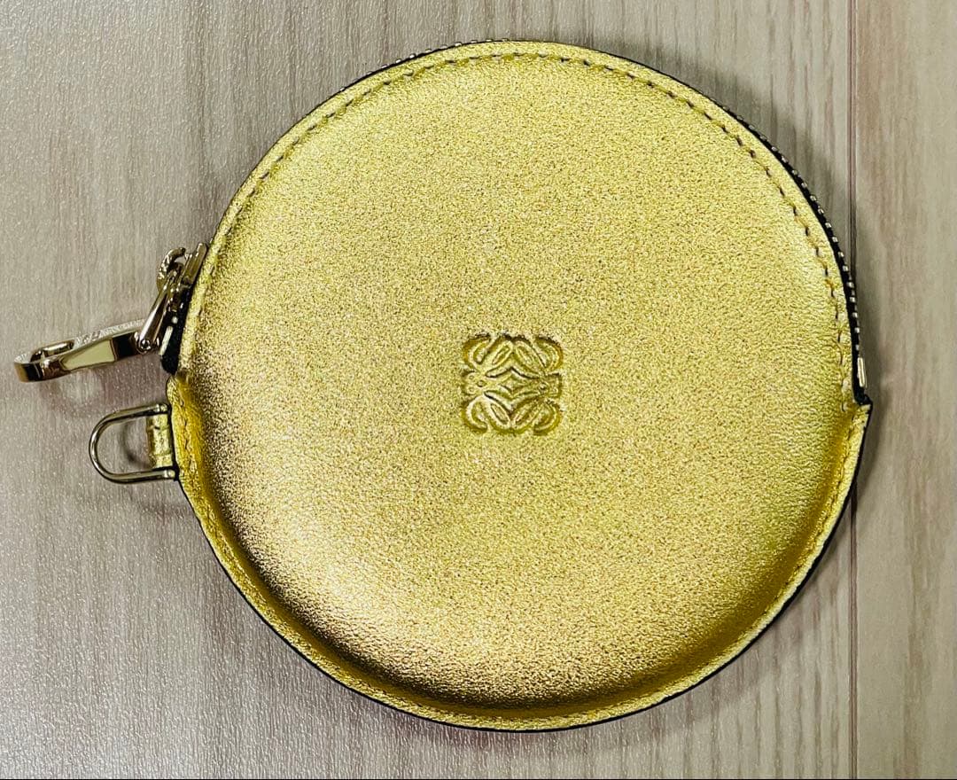 未使用/匿名配送　ロエベ　ケース