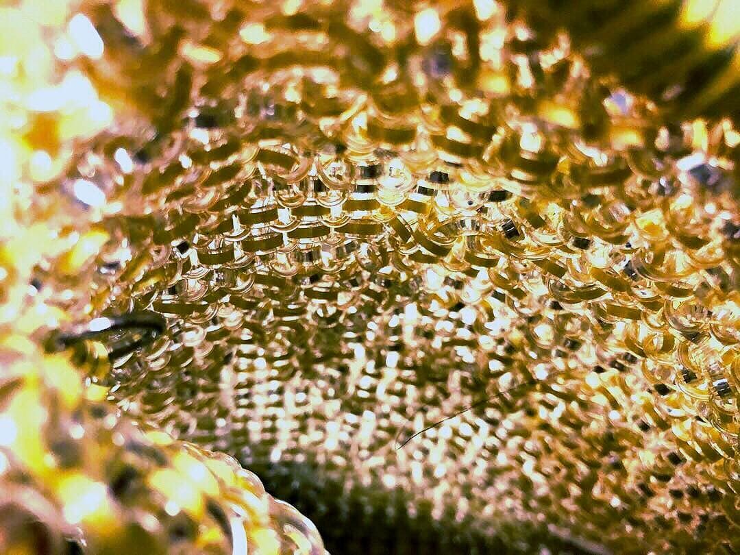 アンテプリマ　ワイヤーバッグ　新品未使用