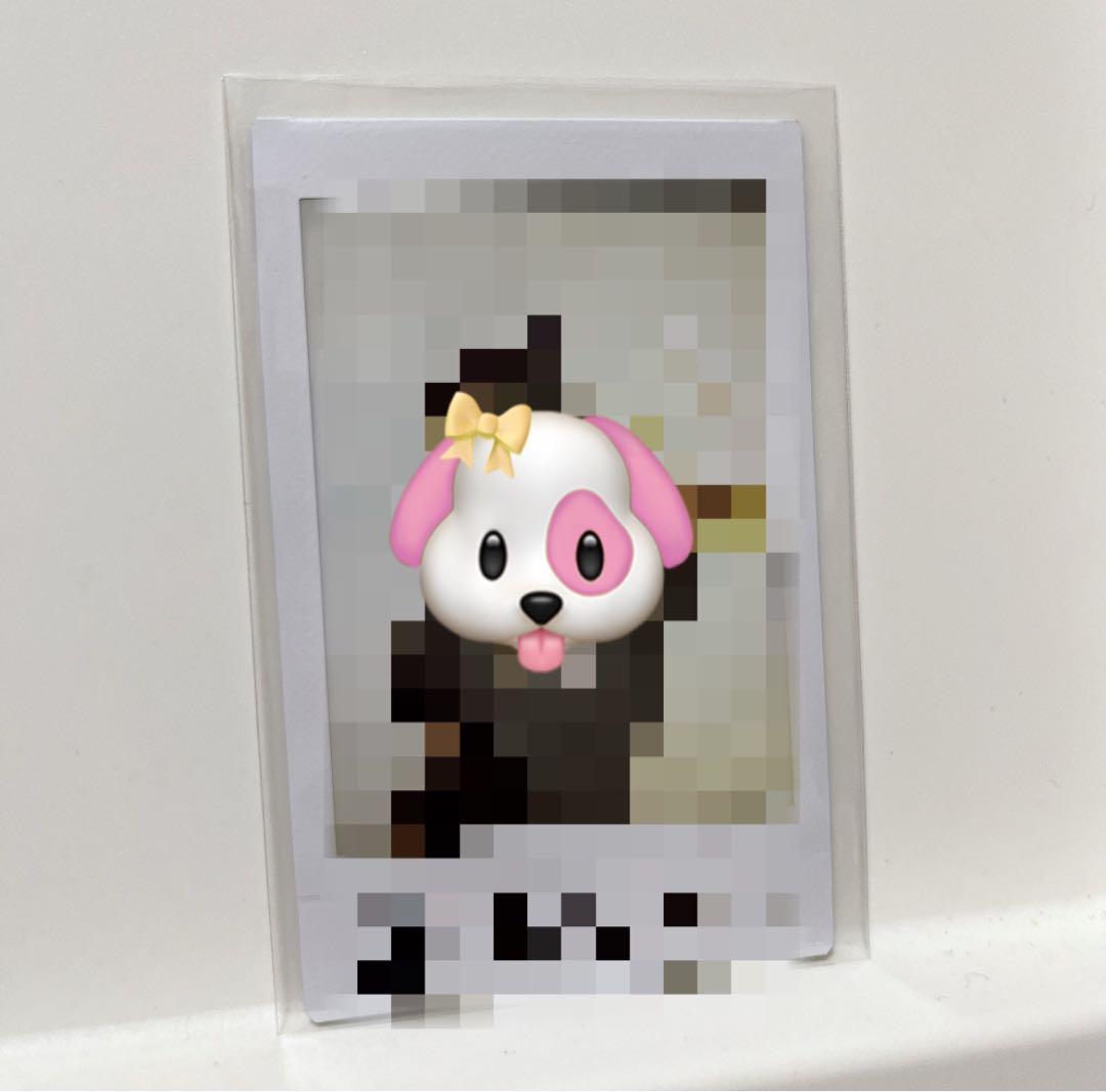 82MAJOR ソンイル ポラロイド チェキ