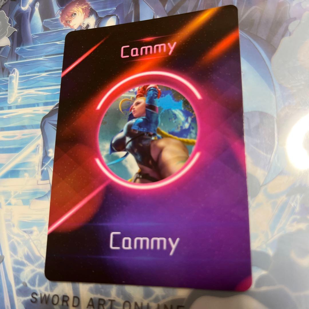 acgセクシーカード EX⭐︎15 美品