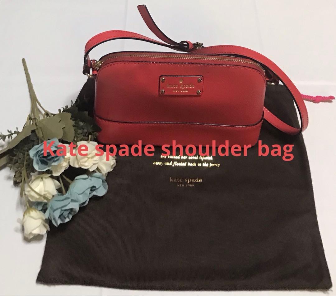 地球 絶滅昆虫記の挿絵四本充氏の原画③