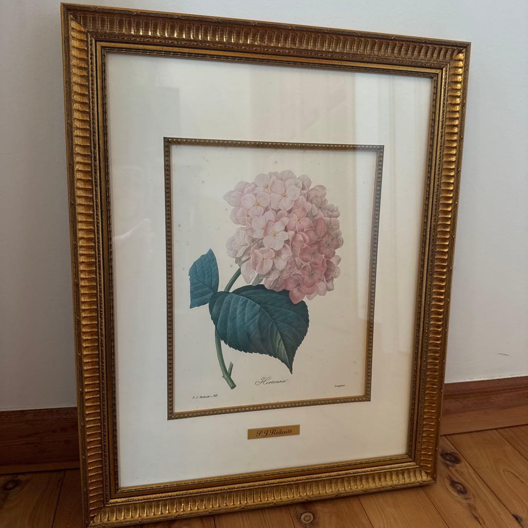 ルドゥーテ　Hortensiaあじさい 紫陽花（アジサイ,あじさい）の絵,絵画を販売 ルドゥーテ