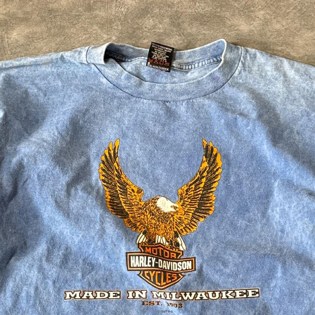 90sハーレーダビッドソンUSA製 ロンT XL ブルー イーグル 両面プリント