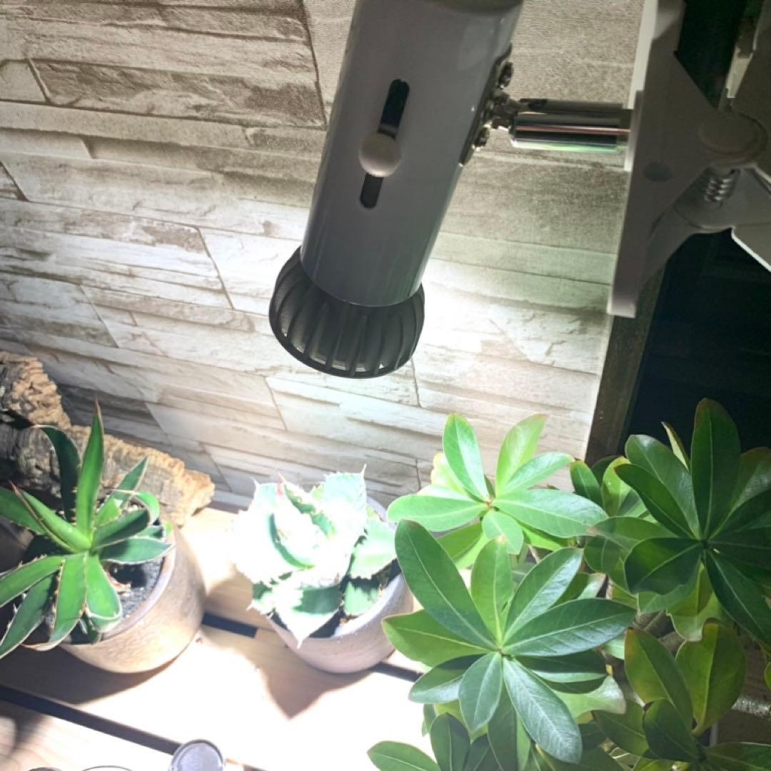 通販ペット用品 - 15W植物育成ライトGrowLight PAR20 6000K 5個 N11091160