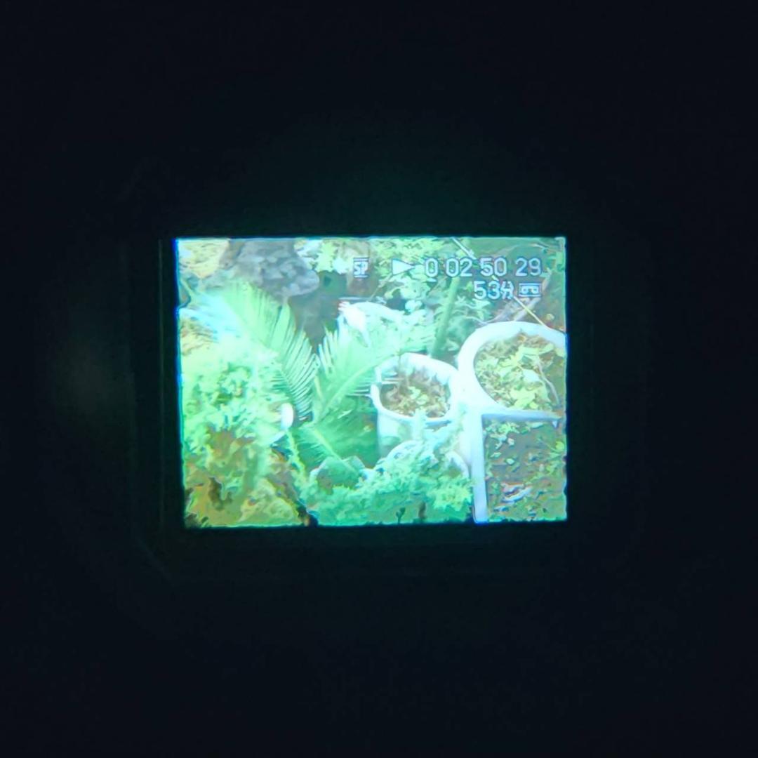 【動作確認済】高画質 SONY MiniDV ビデオカメラ DCR-TRV20