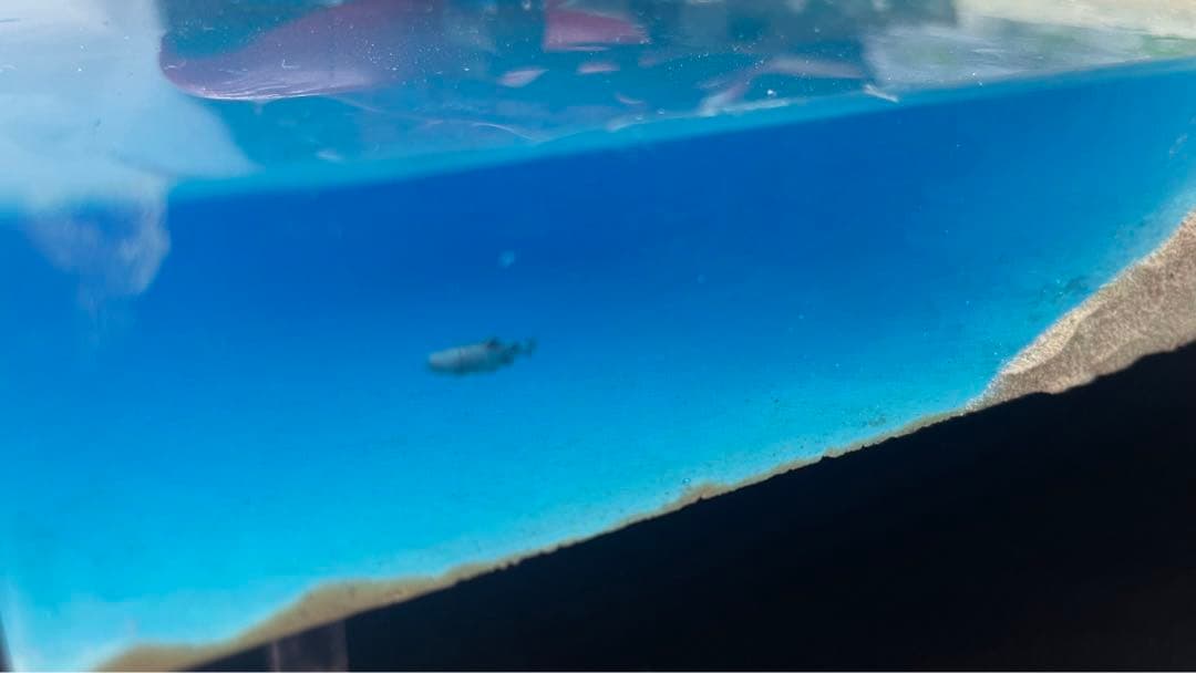 テンテン様　紅の豚　ポルコの隠れ家　ジオラマ