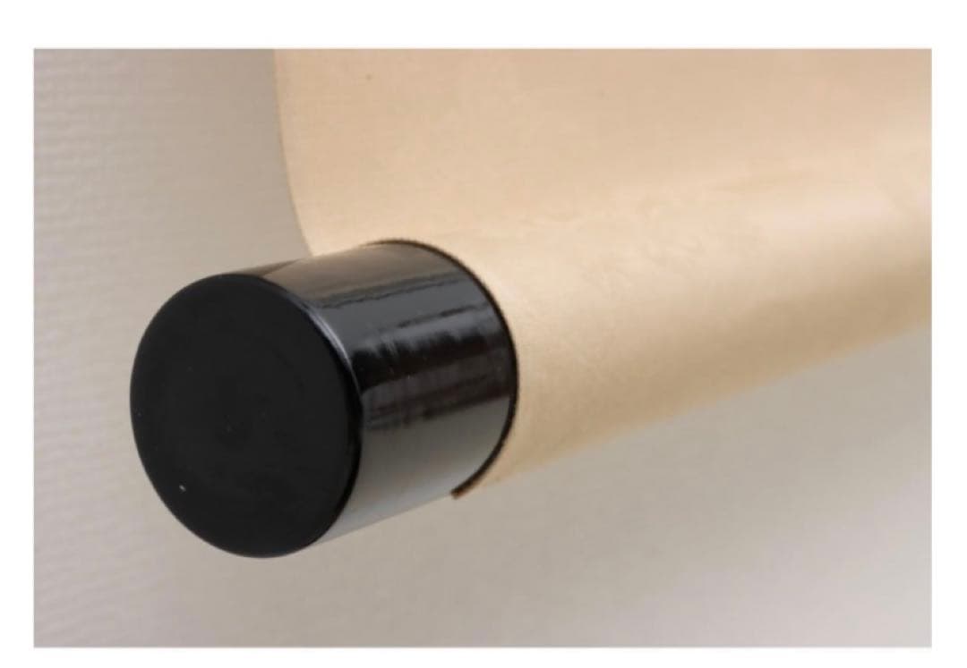 陳国蘇 掛軸(紙本) 墨彩 「牡丹図」 38.3×48.8cm 落款,印有