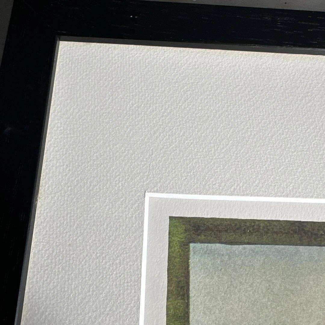 瞬間的お値下げ‼️池田満寿夫　リトグラフ　海と女性 黒フレーム