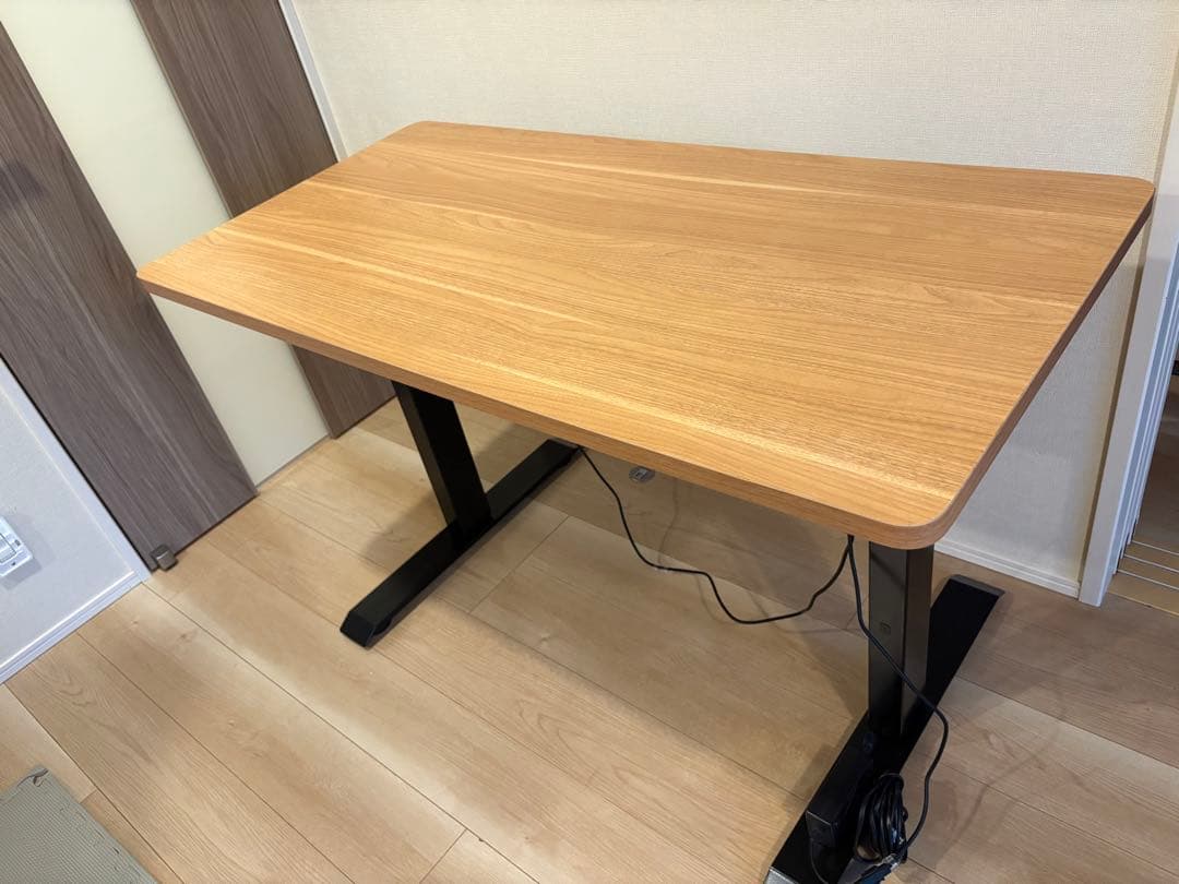 FLEXISPOT 昇降デスク パソコンデス 幅120cmスタンディングデスク