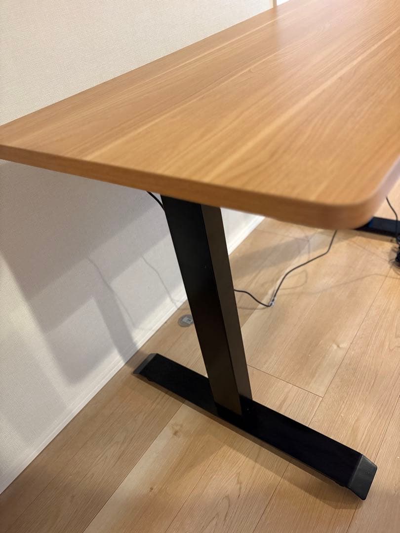 FLEXISPOT 昇降デスク パソコンデス 幅120cmスタンディングデスク