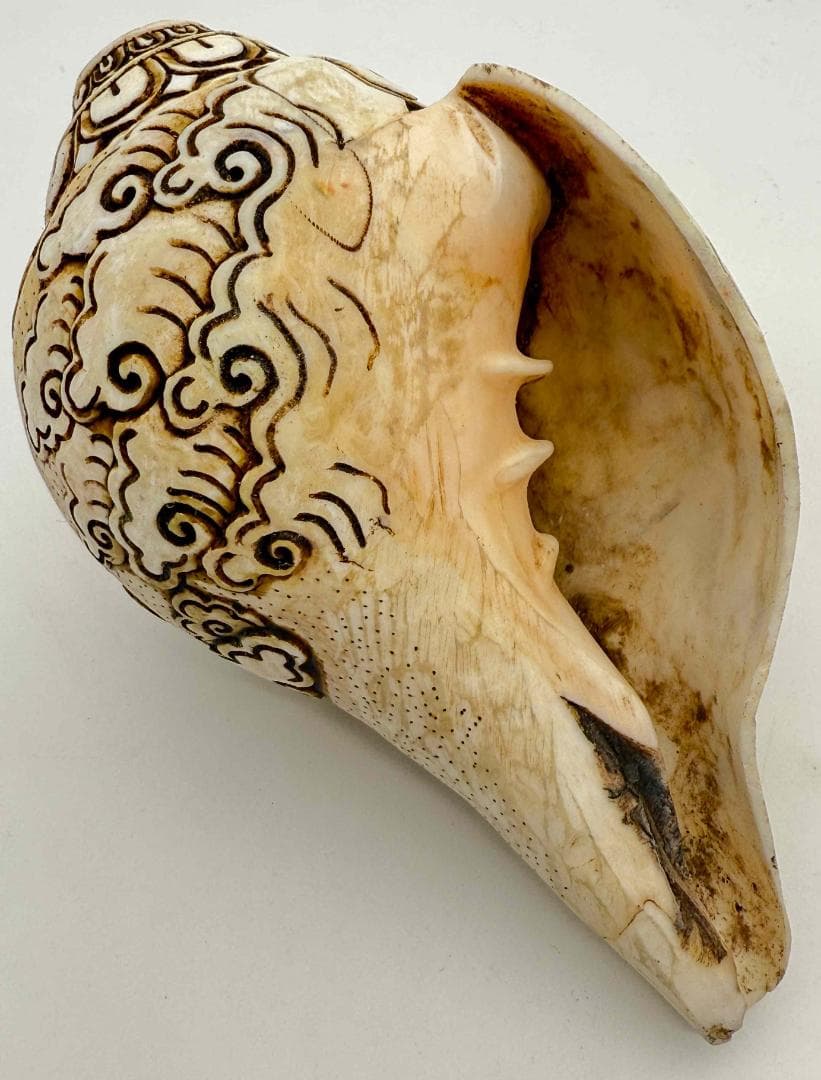 ◇チベット密教法具 法螺貝（シャンカ）弁財天（サラスヴァティー）1