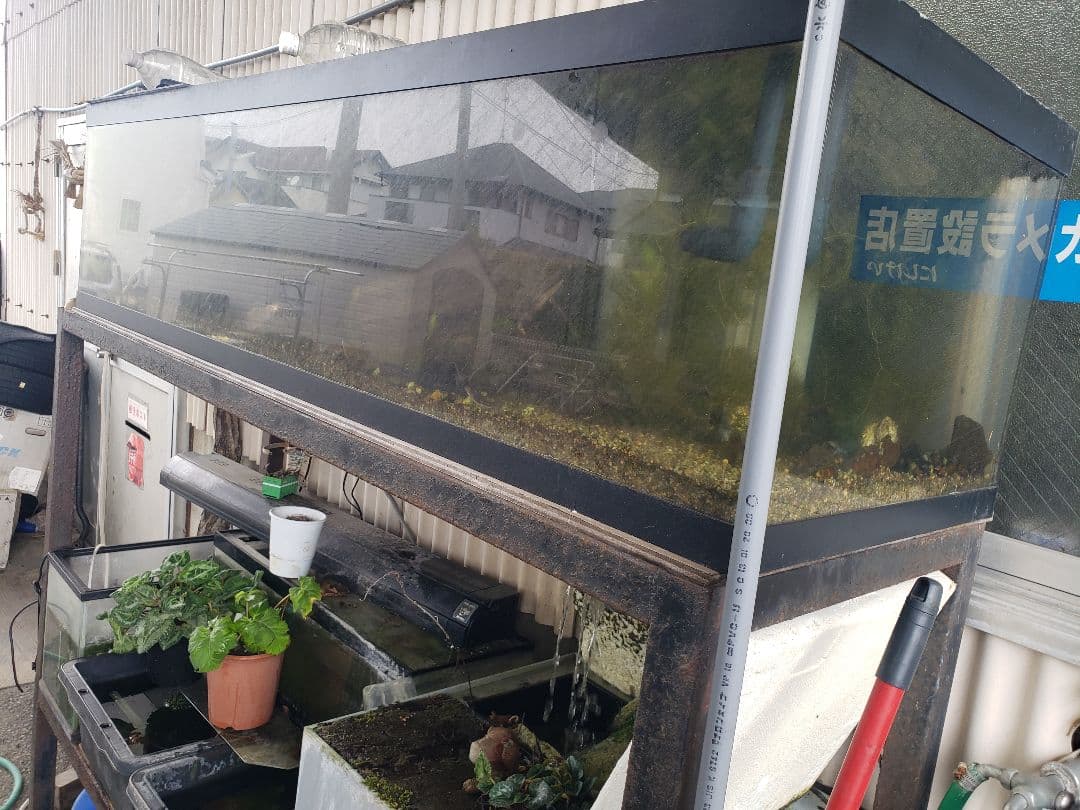 引取限定 1800 オーバーフロー水槽 アクリル 濾過槽 レイシーポンプ