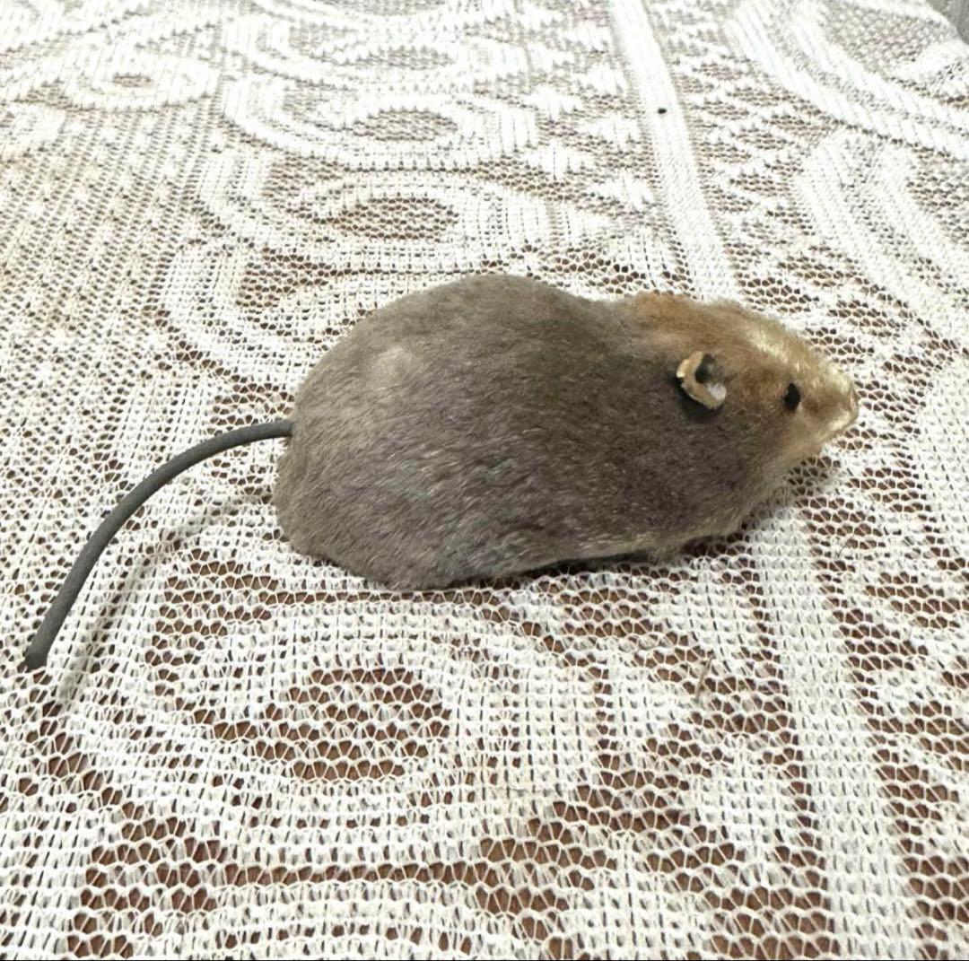 アンティーク　1920年代　ねずみ　ぬいぐるみ　マウス　人形　車輪付き