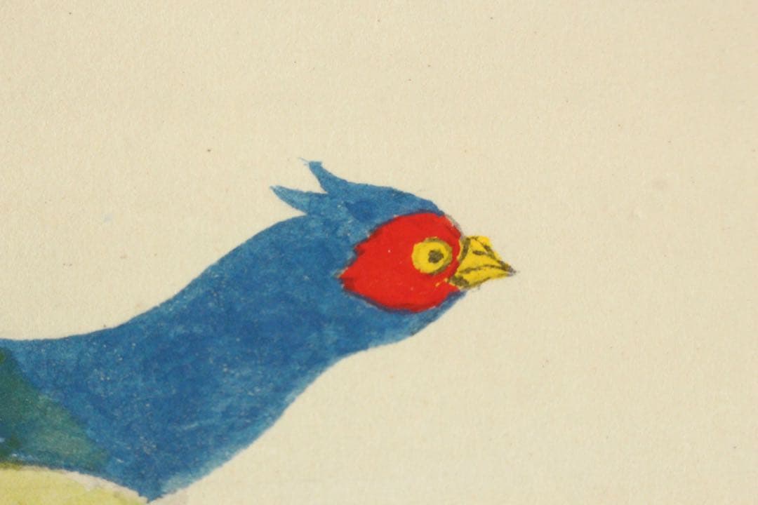 No5417掛軸 前川修 「雉子」 紙本着色 共箱 日本画 花鳥 古画 送料