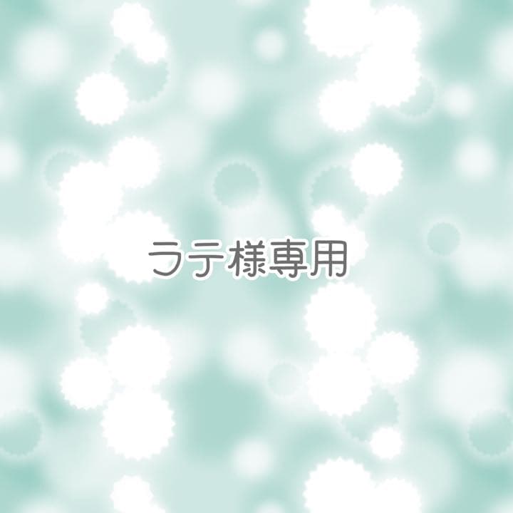 節約 ラテ様専用オーダーページ