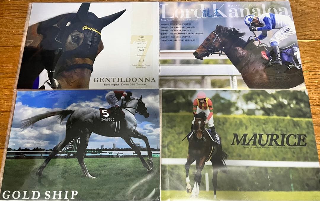 競馬グッズ JRAクリアファイル 28枚 競馬 JRA