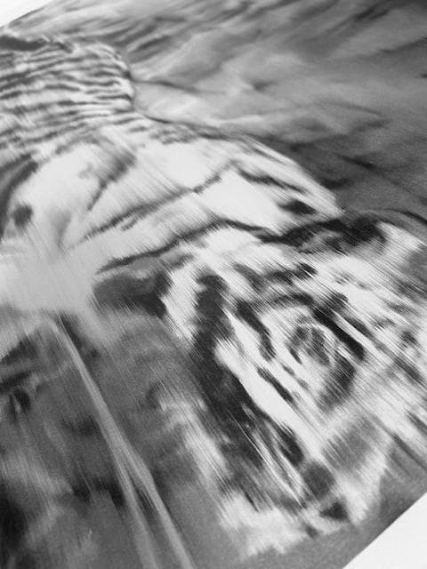 額装済/Tiger 1965/ゲルハルトリヒター/限定500枚/証明書/ポスター