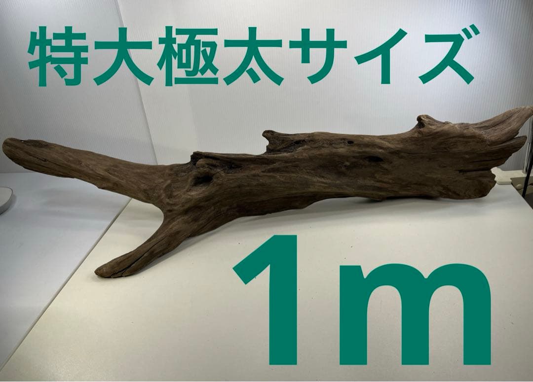 R72特大流木アク抜き済み流木 爬虫類シェルター 登り木 インテリア 生け花