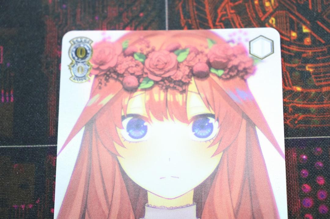 純白の願い 中野五月 HYR 44-JY0602-02C