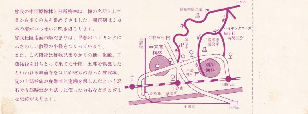 1975小田急線小田原梅まつり記念乗車券