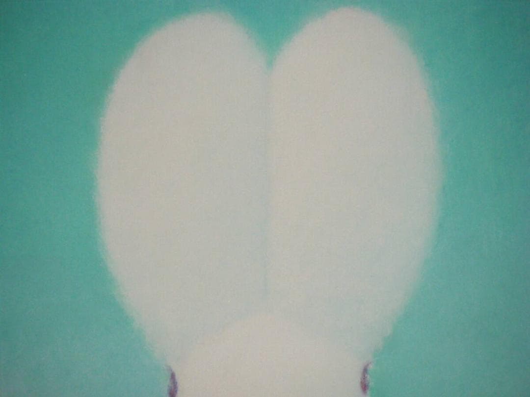 真作】絵画 渡辺宏 パステル画 ペパーミントの想い 人気画家 名品 T22