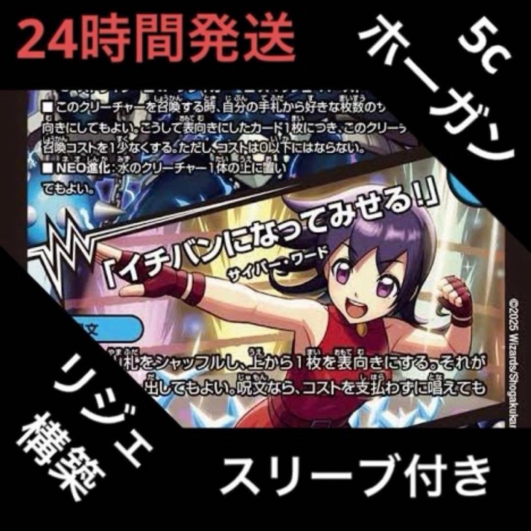 5cホーガン デッキ リジェアカウント紹介デッキ 5Cホーガン リジェ