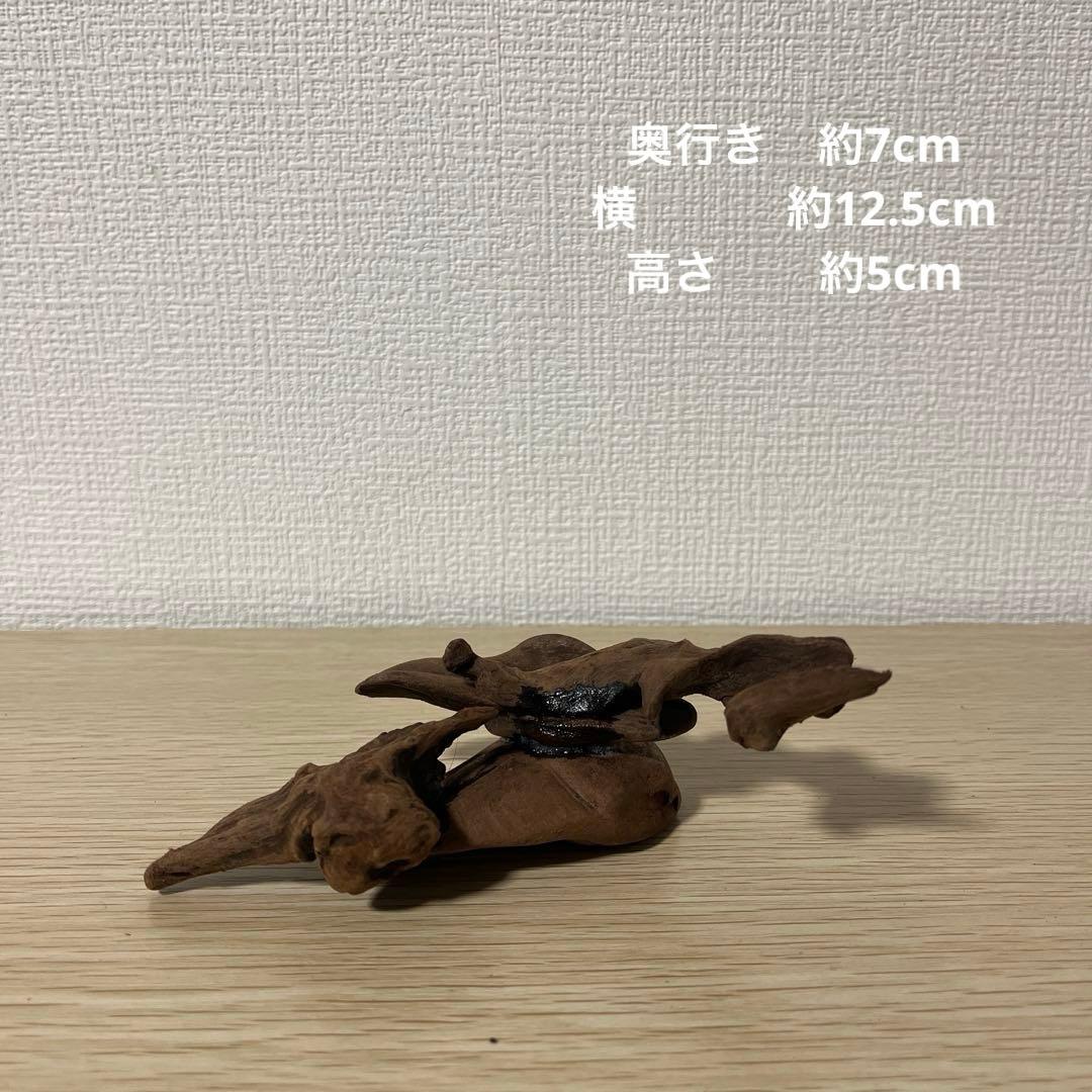 一点もの マングローブ9点まとめ売り✨レイアウト アクアリウム