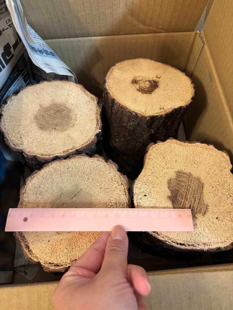 昆虫飼育用具セット 菌糸ブロック崩し 産卵木 ノギス スケールなど