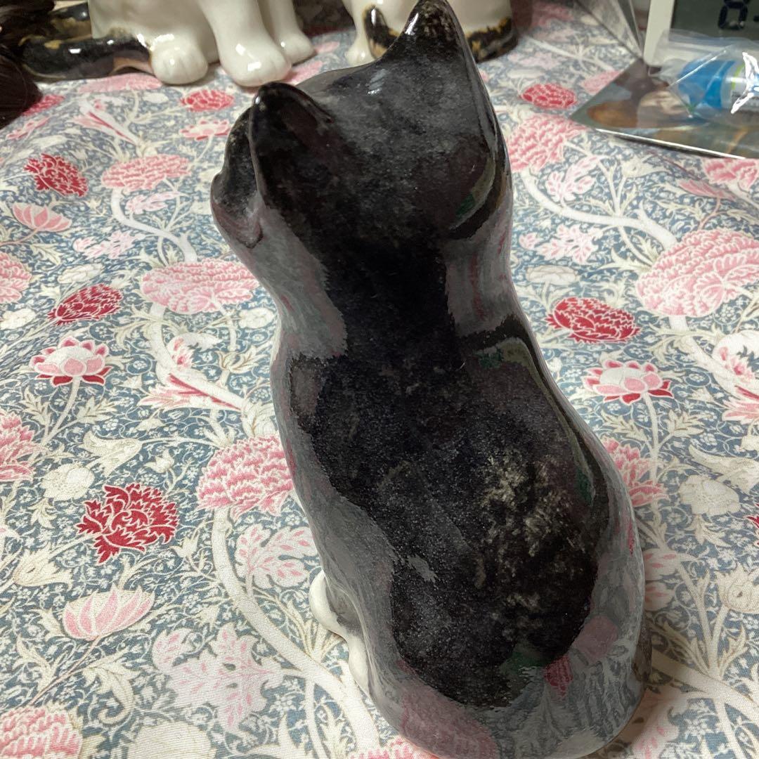 ウィンスタンレイキャット、ケンジントンキャット、お茶目なサイズ1、黒白の貴重な子