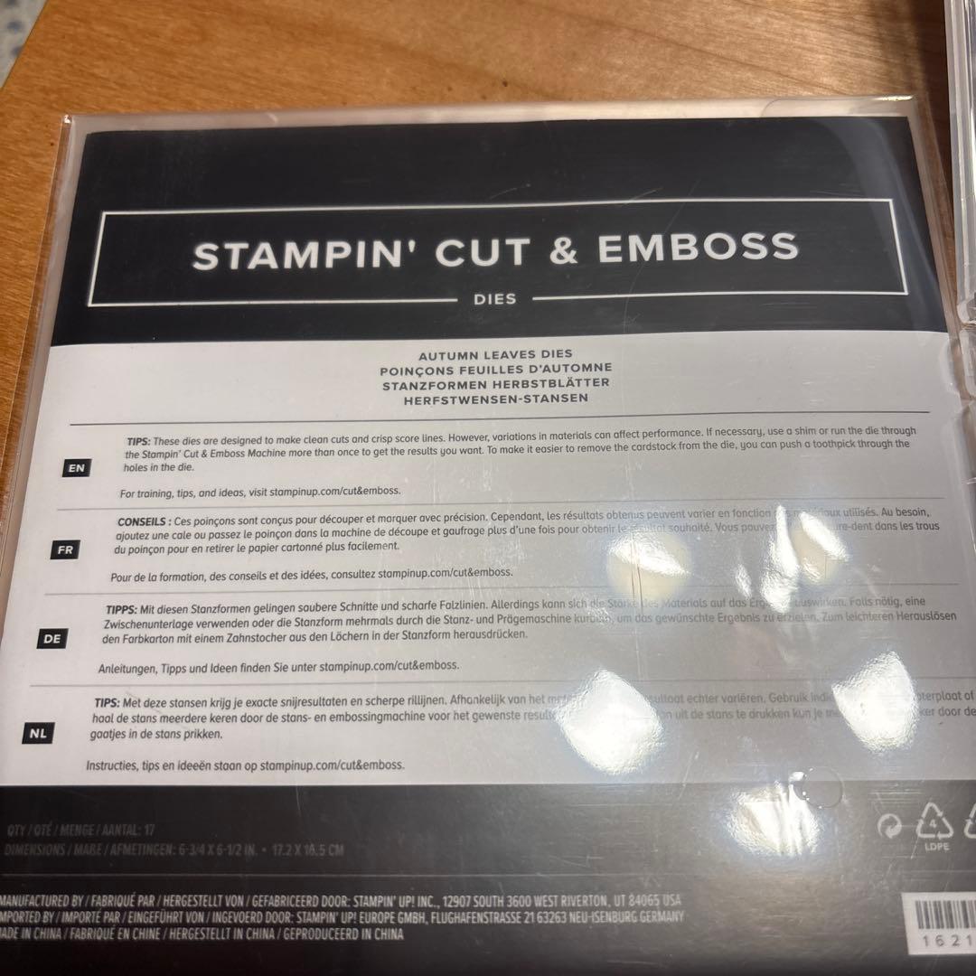 未使用 秋に向けて♡AUTUMN LEAVES スタンプセット スタンピンアップ