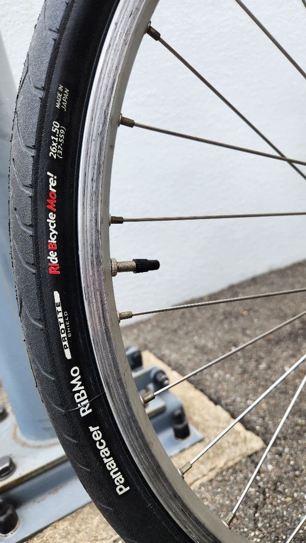 12/25まで値下】LIGHTNING社 リカンベント THUNDERBOLT