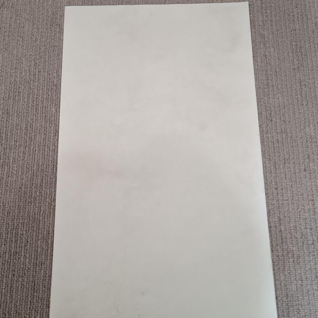 佐藤勝彦 無盡蔵壽 菩薩 仏様 仏画 墨彩画 印有 額サイズ36×99cm 真作