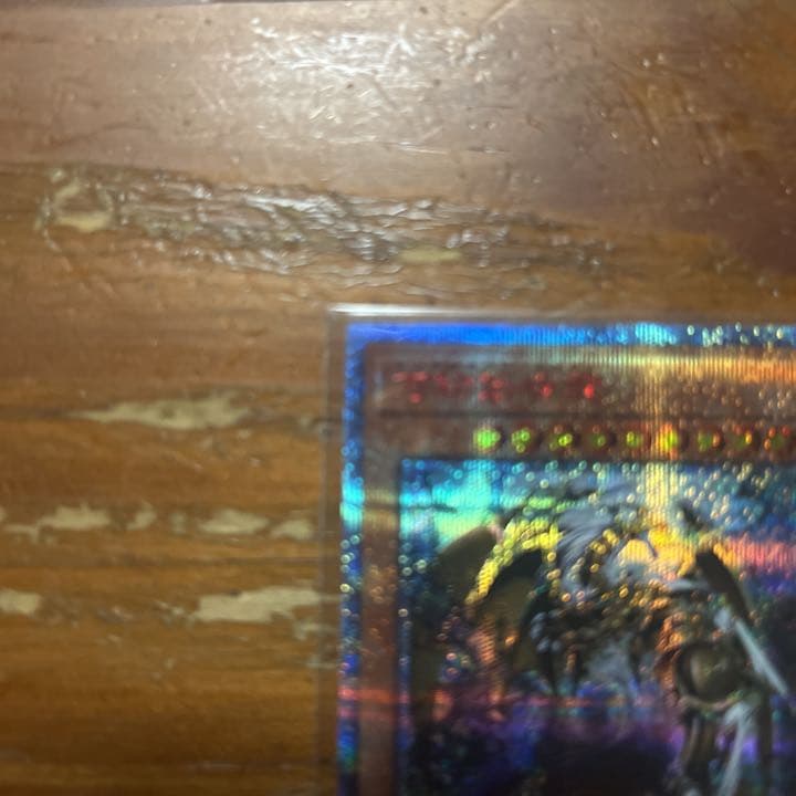 【美品最安値】万物創世龍