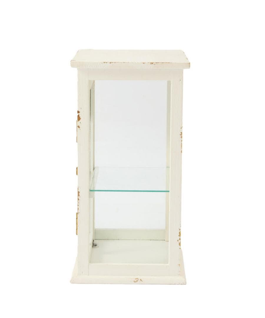 Salut! サリュ コレクションケース ディスプレイキャビネット salut