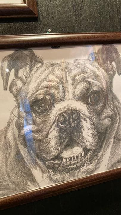 「鉛筆画アート」商品名　ブルドック　新品未使用