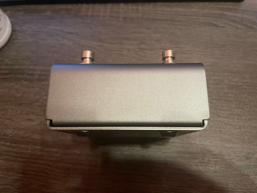 ギター Strymon El Capistan v2