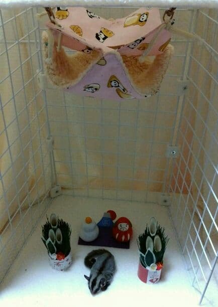 モモンガハウス (パンダカフェ柄ピンク)ボアベージュ 2000円 モモンガハウス (パンダカフェ柄ピンク)ボアベージュ 2000円 ピンク