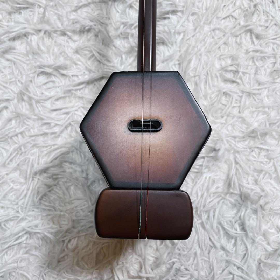 極美品　電気　ニ胡　エレキ　セミハードケース付き