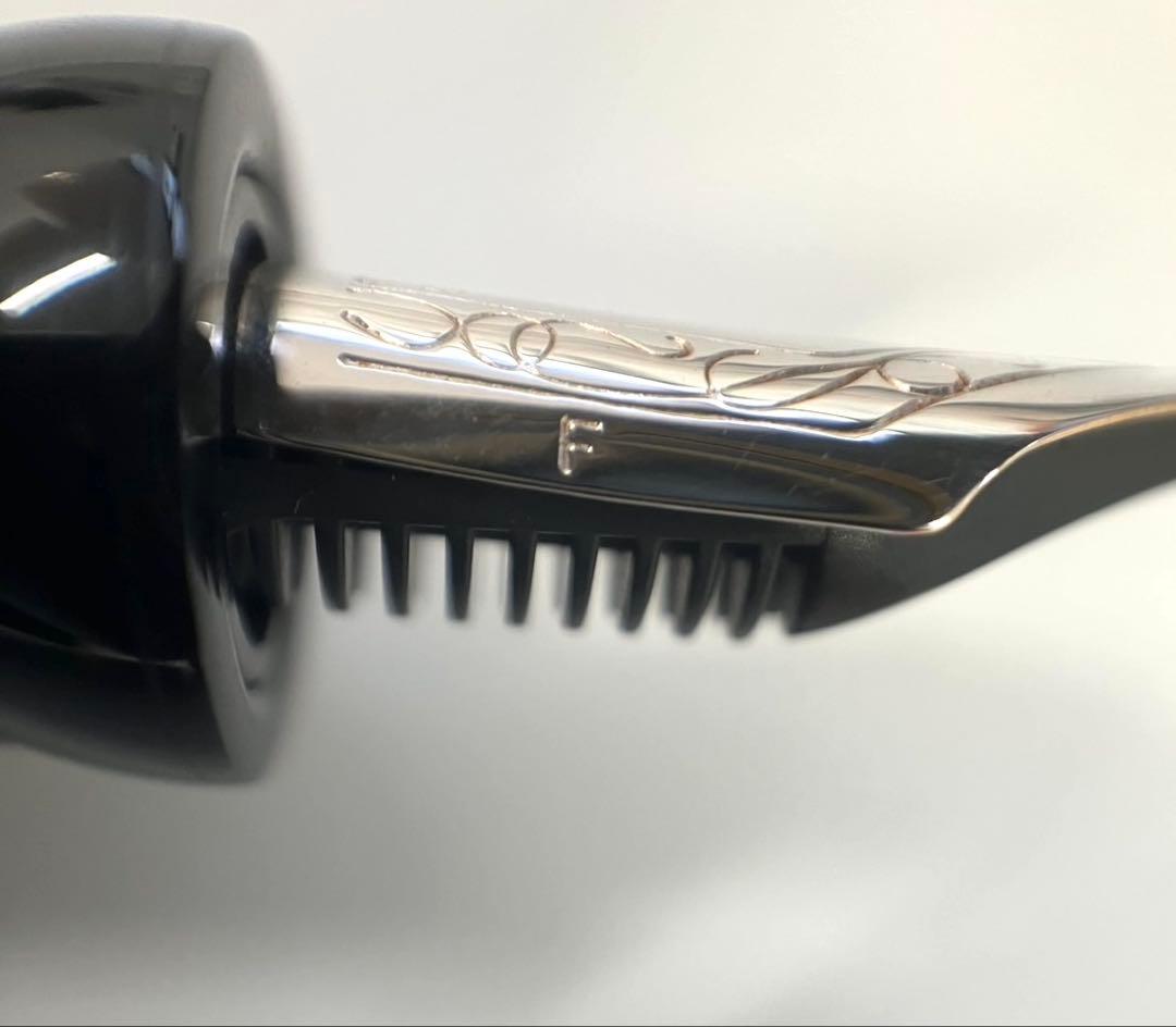 デルタ　ドルチェビータ　ミディアム　万年筆　14k F