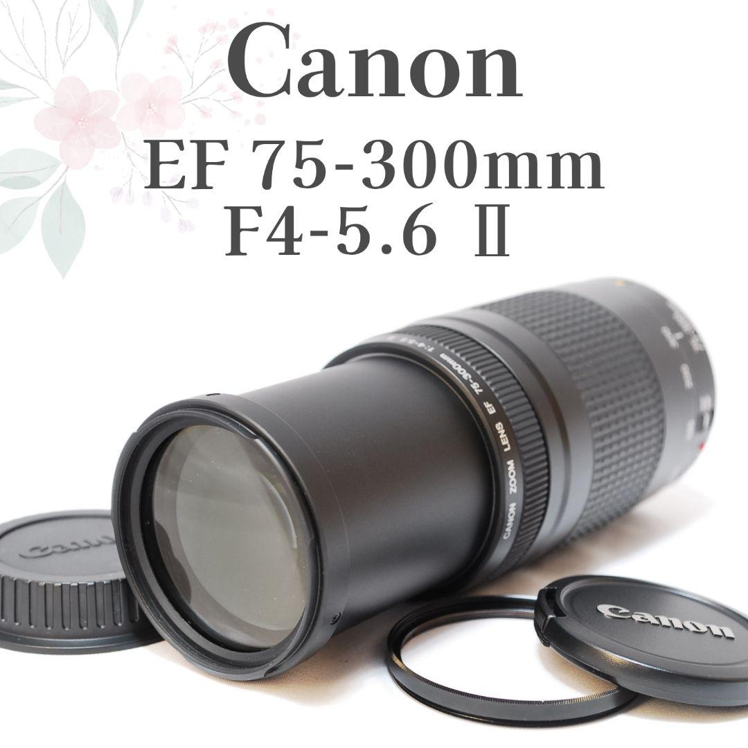 超美品✨超望遠レンズ✨Canon EF 75-300mm F4-5.6 Ⅱ 楽天市場】【1年保証】キヤノン Canon EF75-300mm F4-5.6 III EF 望遠