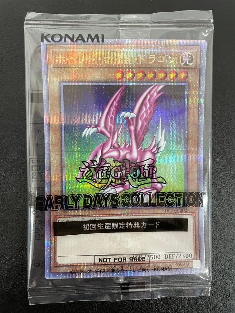 カ*ア様 kncard73-1248 ホーリーナイトドラゴン　究極完全態・グレー