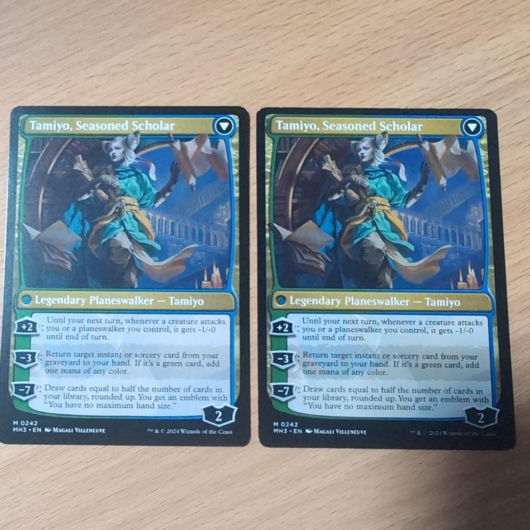 知りたがりの、タミヨウ 英語版 2枚セット - メルカリ