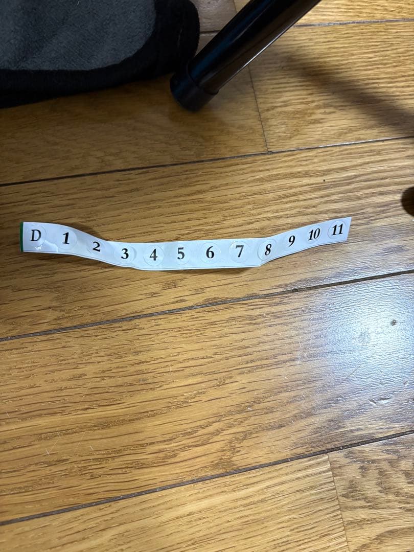 ハンドパン12音　440Hz 55.88cm Dマイナー