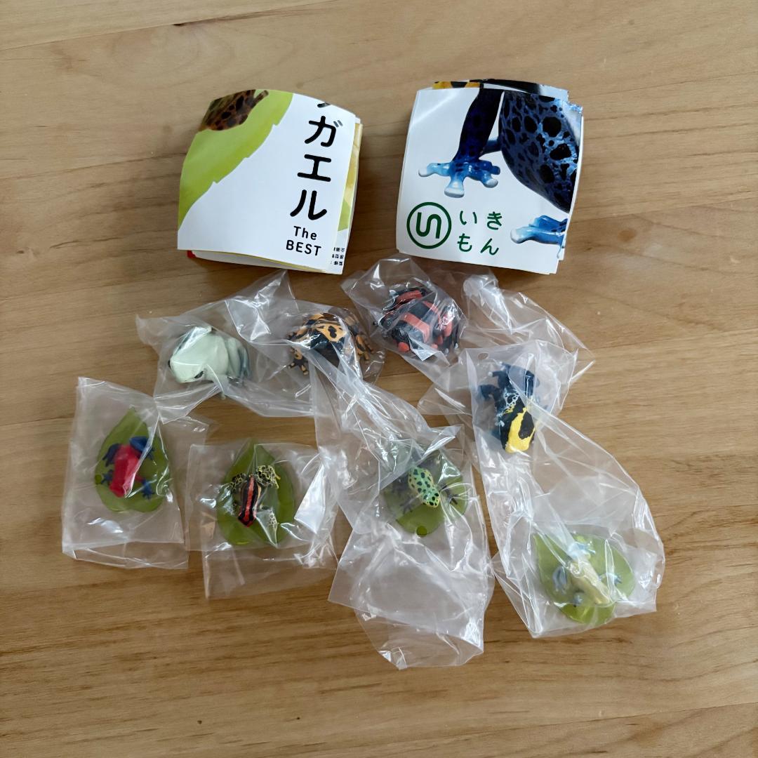 全8種セット◇NTC MONO+ ヤドクガエル The BEST コンプリート - メルカリ