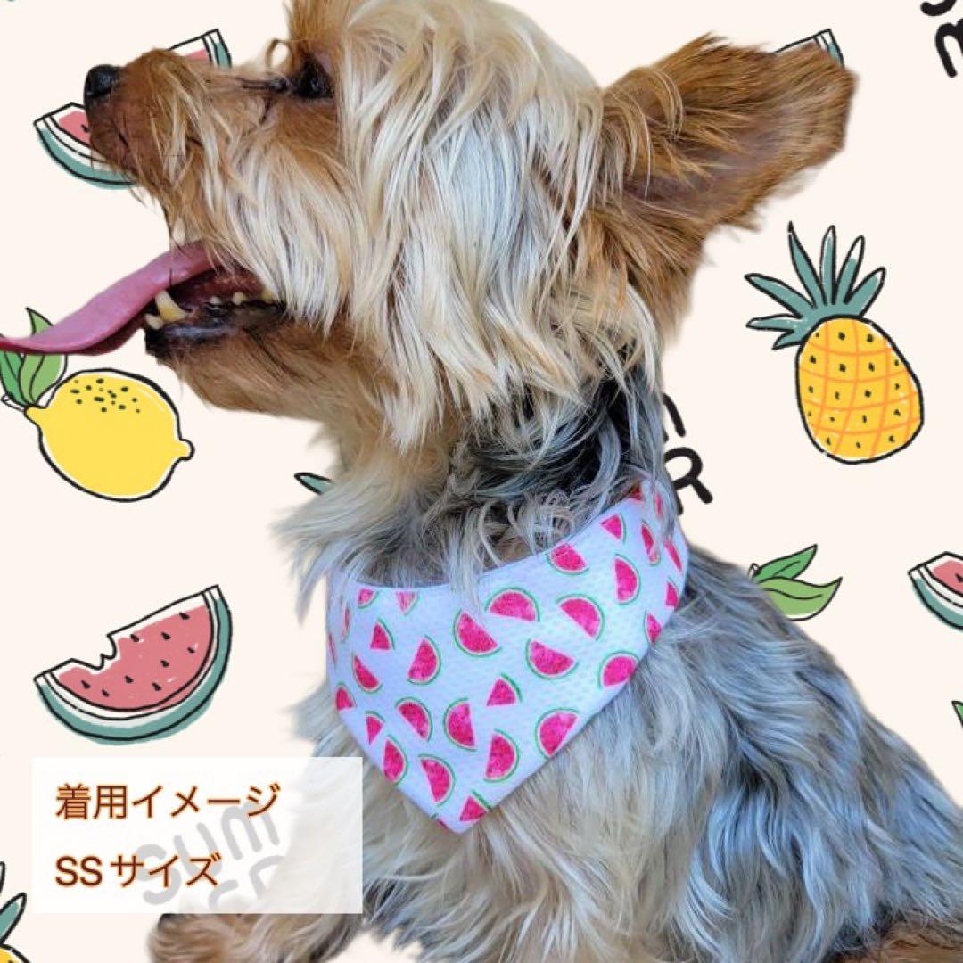 犬ネコ用リバーシブルバンダナ☆着用イメージ写真☆