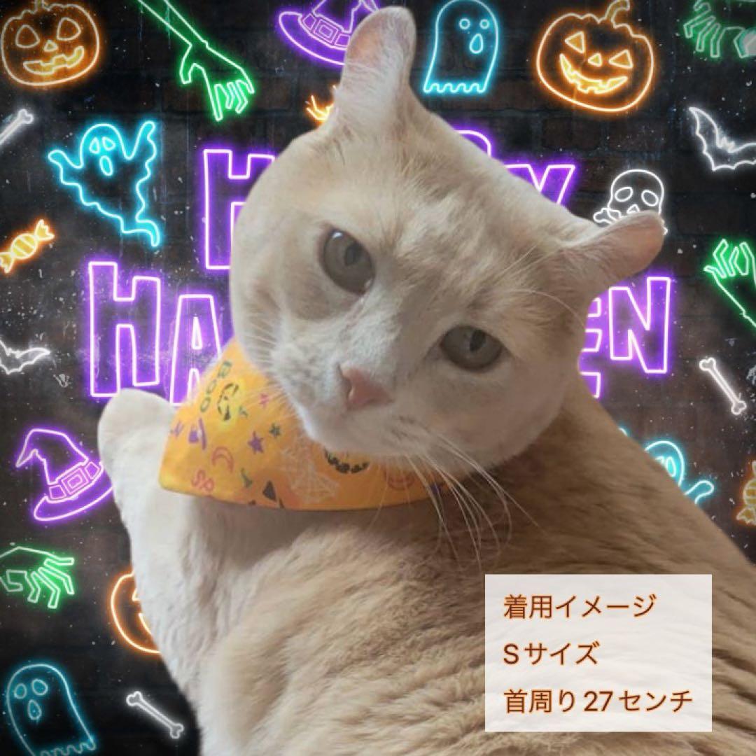 犬ネコ用リバーシブルバンダナ☆着用イメージ写真☆