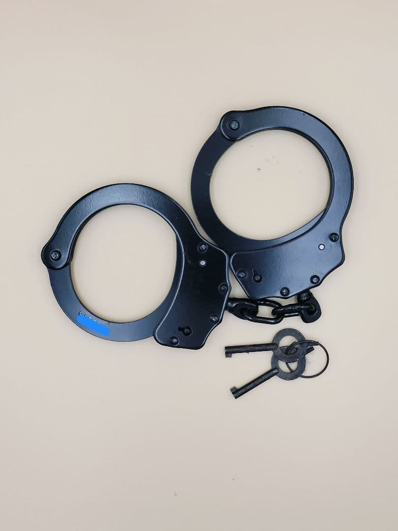 警察 ピンバッジ 階級章 ミニ額 レプリカ 警察小物コレクション